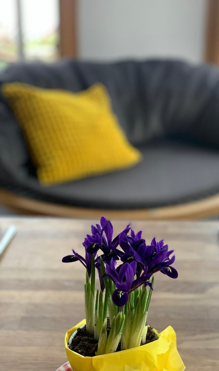 Designers Note-arpina